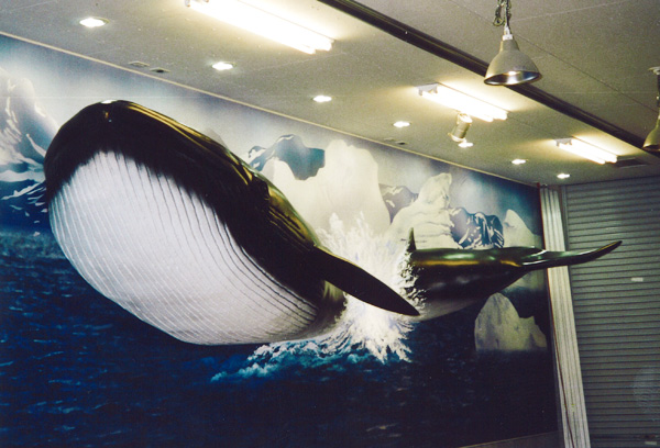 �N���b�N�Ŋg��\��